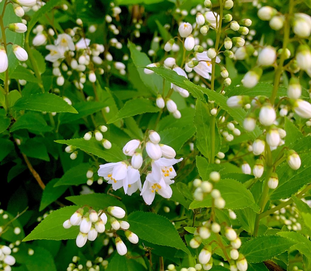 仏教に学ぶ健康法〜鎌田茂雄 子供に学ぶ | 東京国際仏教塾